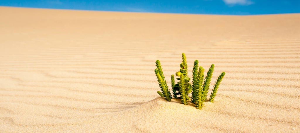 Dattenfeld / Shutterstock.com
