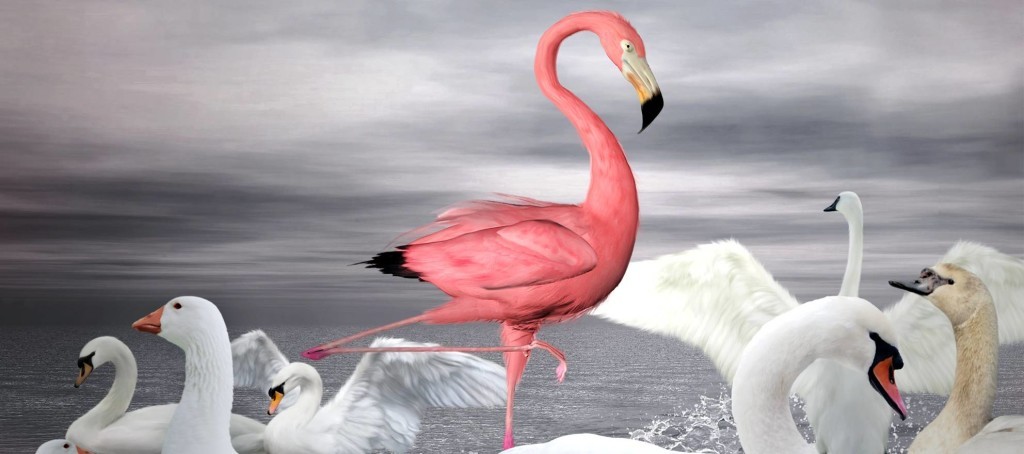 Ellerslie / Shutterstock.com