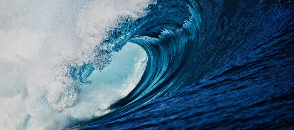 clarkography / Shutterstock.com